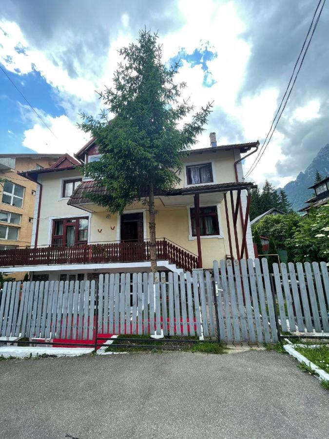 Constantinescu A. Buşteni Exterior foto